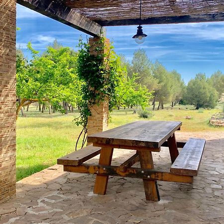 Gran Casa, Lagunas De Ruidera, Bbq, Porche, Chimenea エクステリア 写真