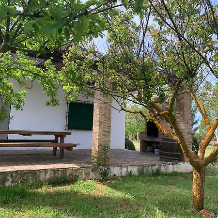 Gran Casa, Lagunas De Ruidera, Bbq, Porche, Chimenea エクステリア 写真
