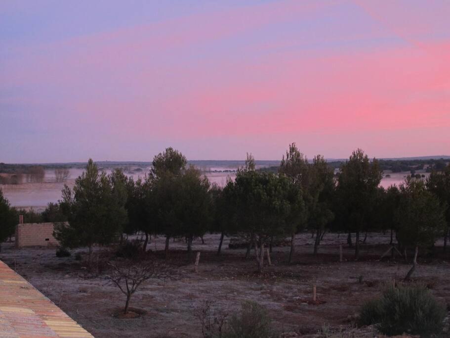 Gran Casa, Lagunas De Ruidera, Bbq, Porche, Chimenea エクステリア 写真