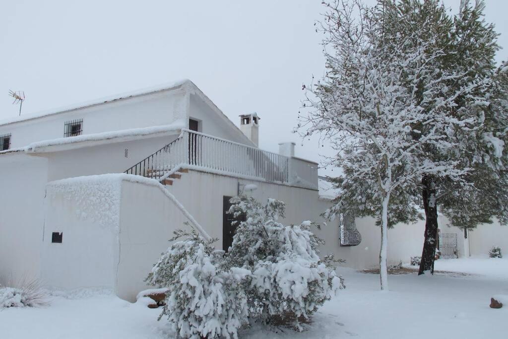 Gran Casa, Lagunas De Ruidera, Bbq, Porche, Chimenea エクステリア 写真