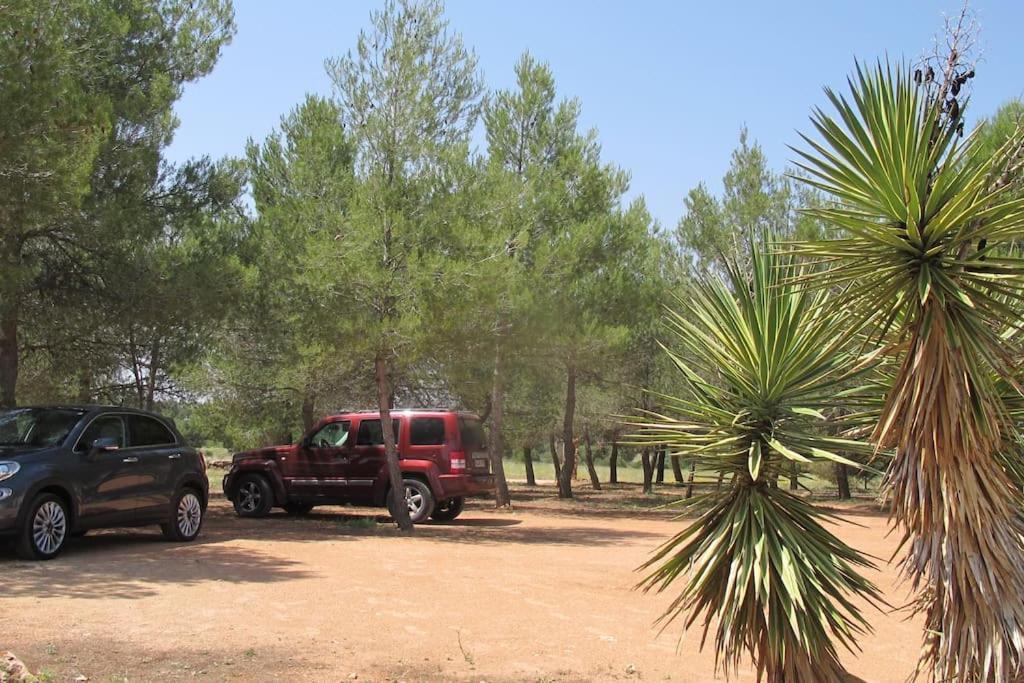 Gran Casa, Lagunas De Ruidera, Bbq, Porche, Chimenea エクステリア 写真