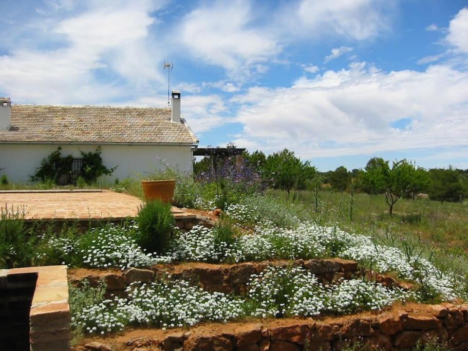 Gran Casa, Lagunas De Ruidera, Bbq, Porche, Chimenea エクステリア 写真