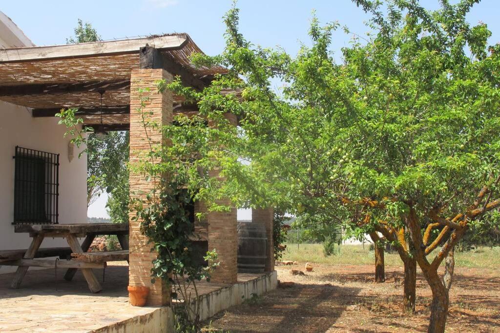 Gran Casa, Lagunas De Ruidera, Bbq, Porche, Chimenea エクステリア 写真